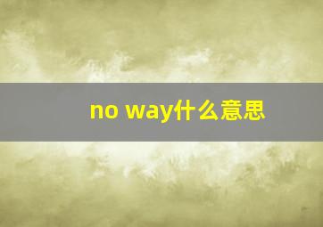 no way什么意思